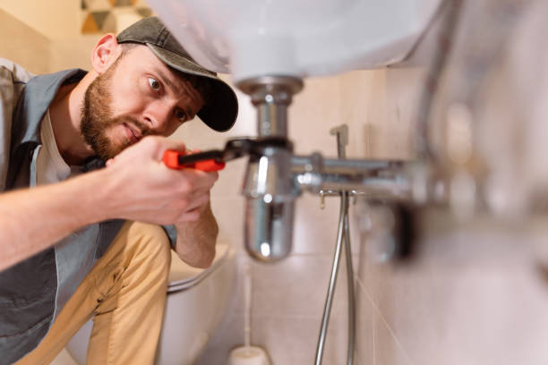 Best Garbage Disposal Repair and Installation  in Minerva Park, OH